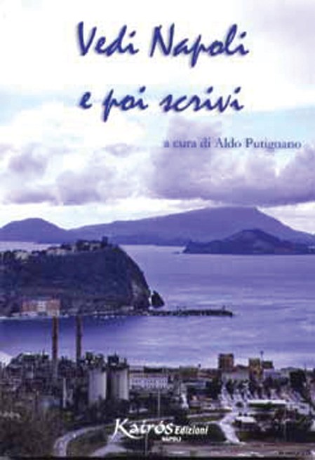 Vedi Napoli e poi scrivi - copertina