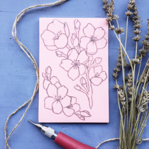 Fiori-di-ciliegio_2