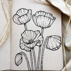 Illustrazioni inchiostrate, illustrazioni botaniche disegnate a mano