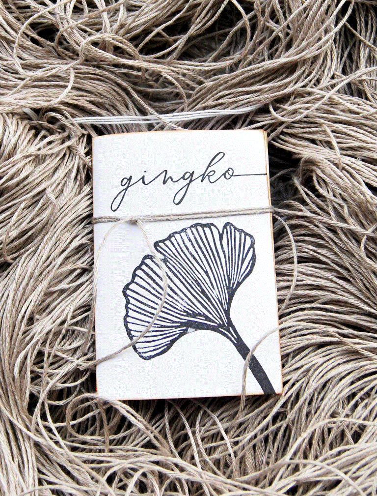 Set regalo quaderni Gingko