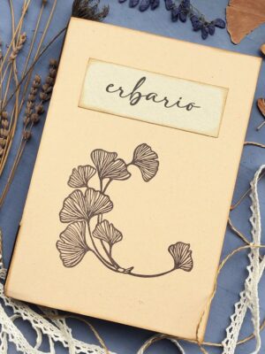 erbario gingko