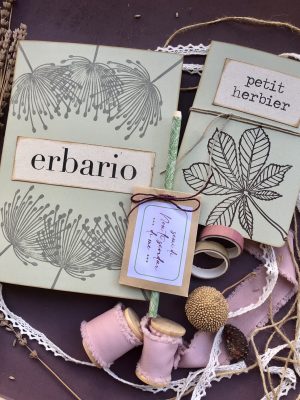 Boxed gift erbario 15