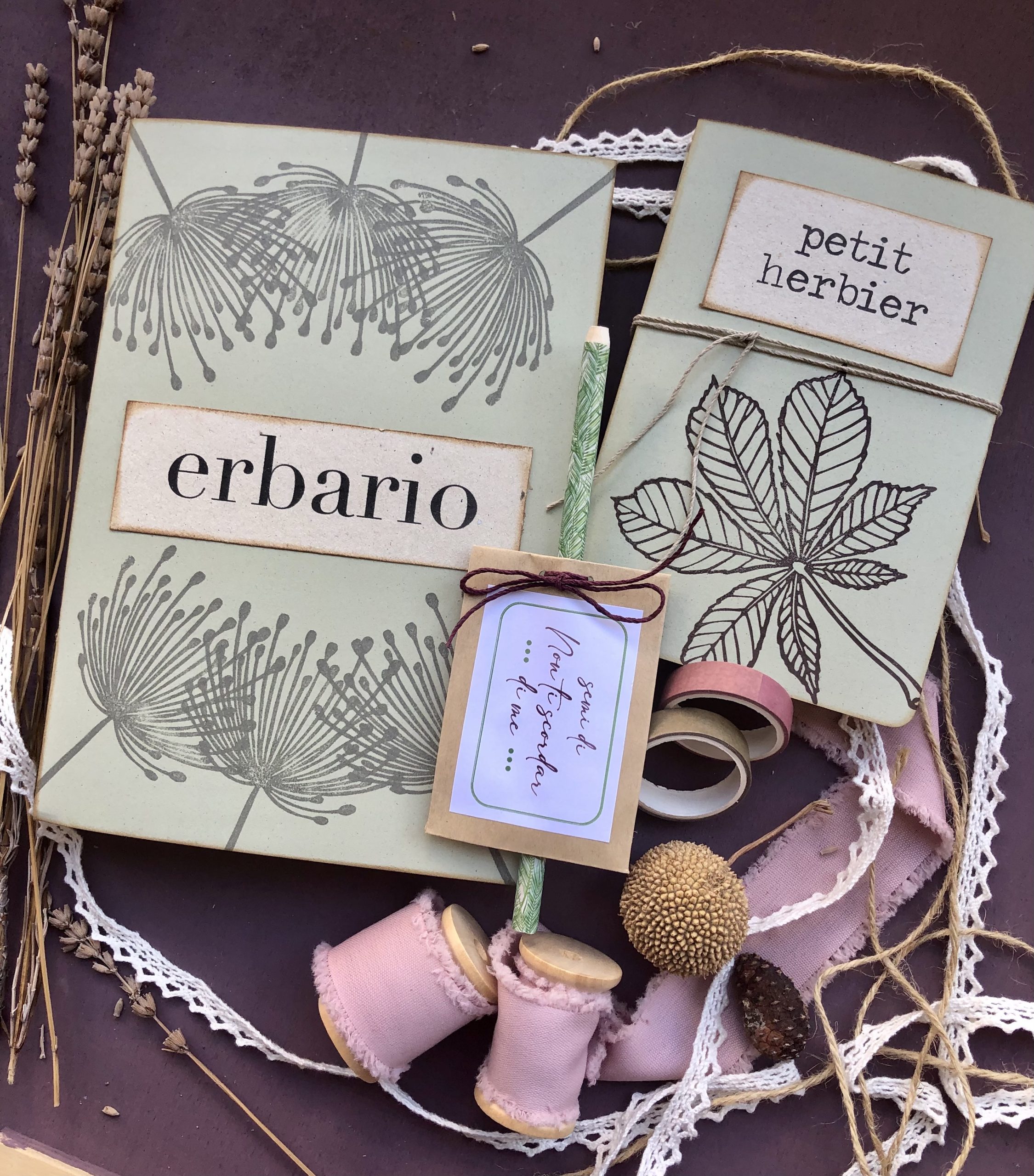 Boxed gift erbario 15