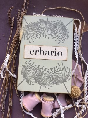 Boxed gift erbario 3