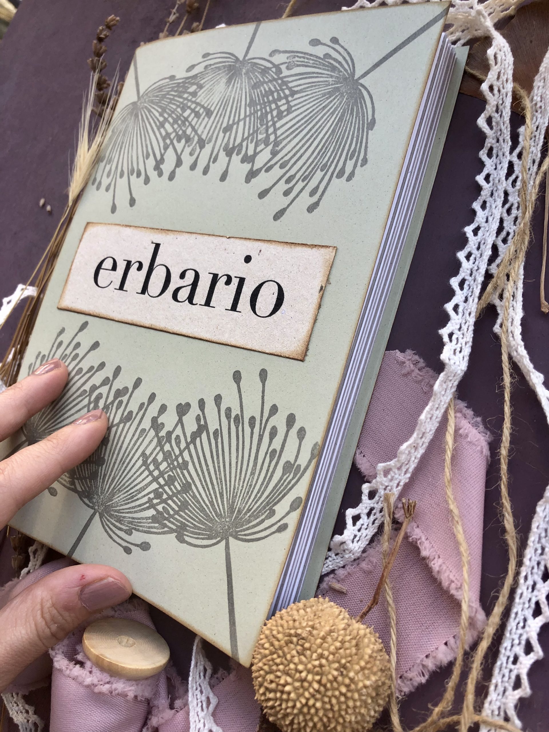 Boxed gift erbario 6