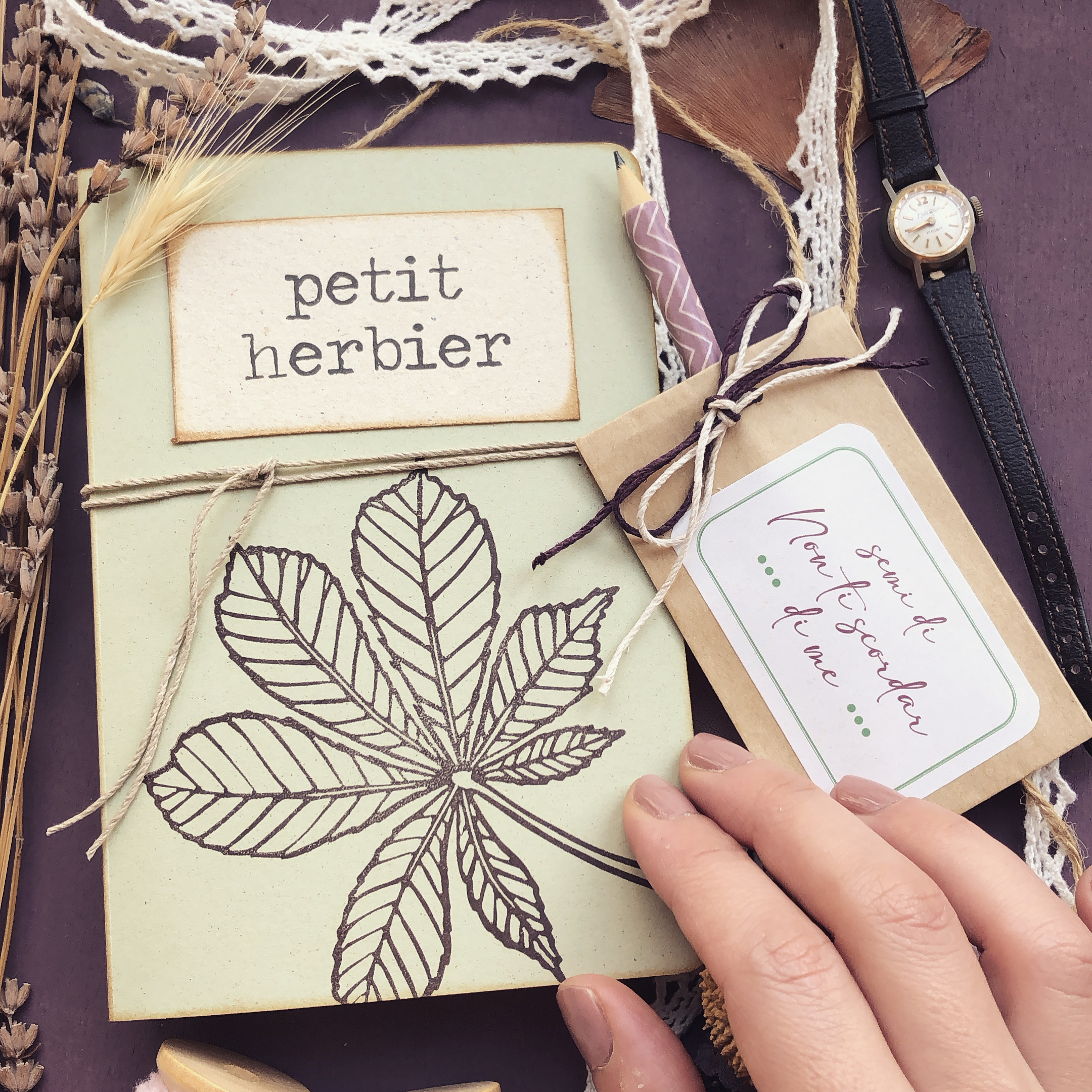Petit herbier 2021 4