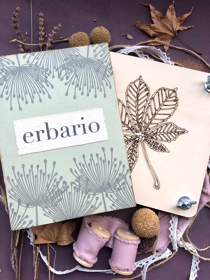 Erbario Dandelion pressa 1