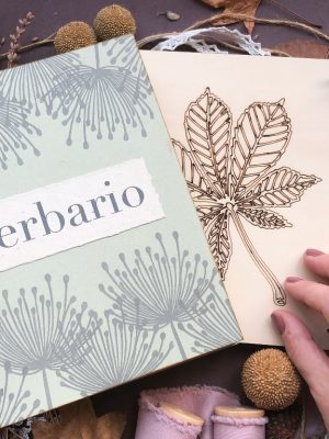 Erbario Dandelion pressa