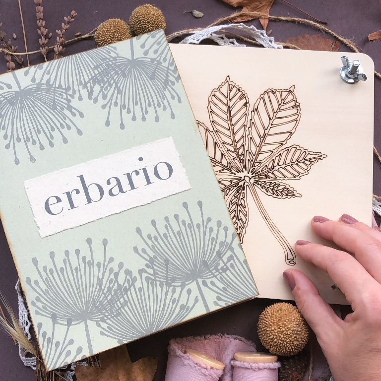Erbario Dandelion pressa 2