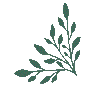 Botanica